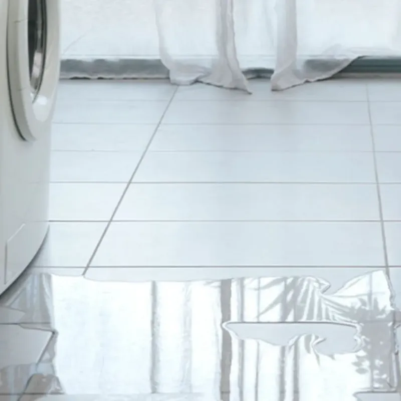 Appliance Leak Cleanup in Fresno, CA